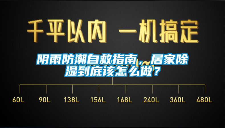 陰雨防潮自救指南，居家除濕到底該怎么做？