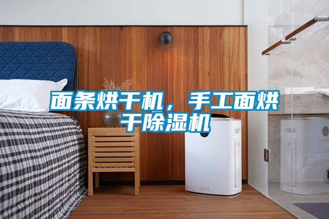 面條烘干機，手工面烘干除濕機