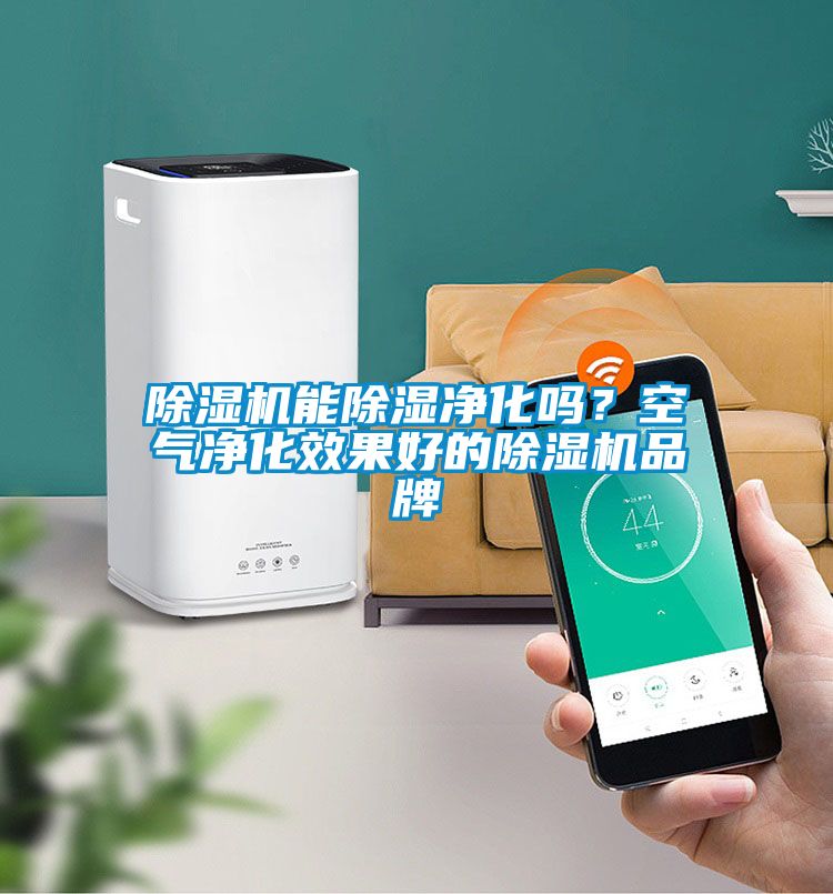 除濕機能除濕凈化嗎？空氣凈化效果好的除濕機品牌