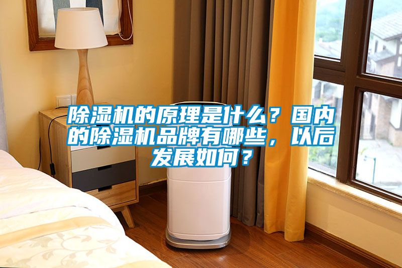 除濕機的原理是什么？國內的除濕機品牌有哪些，以后發展如何？