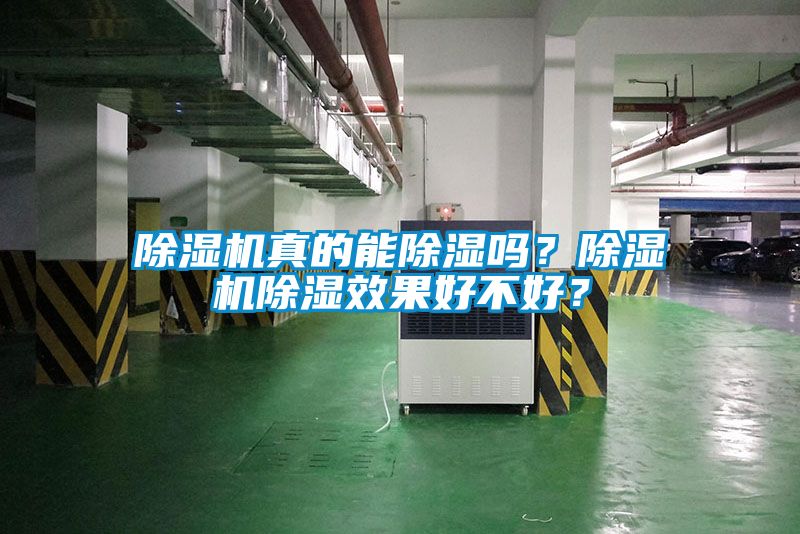 除濕機真的能除濕嗎？除濕機除濕效果好不好？