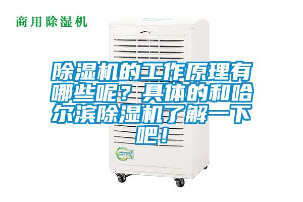 除濕機的工作原理有哪些呢？具體的和哈爾濱除濕機了解一下吧！