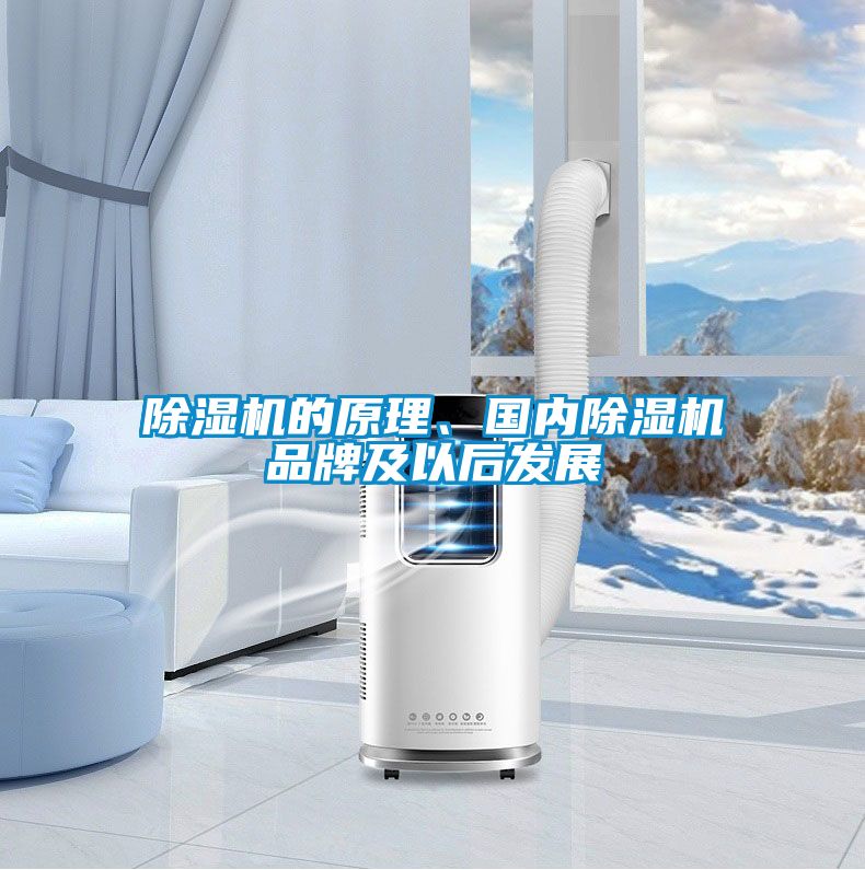 除濕機的原理、國內除濕機品牌及以后發展