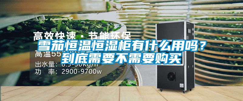 雪茄恒溫恒濕柜有什么用嗎？到底需要不需要購買