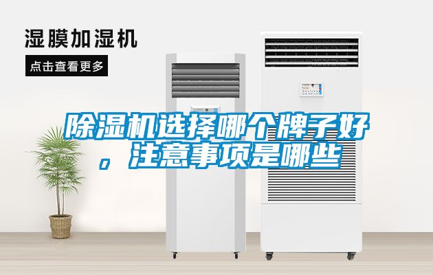 除濕機選擇哪個牌子好，注意事項是哪些