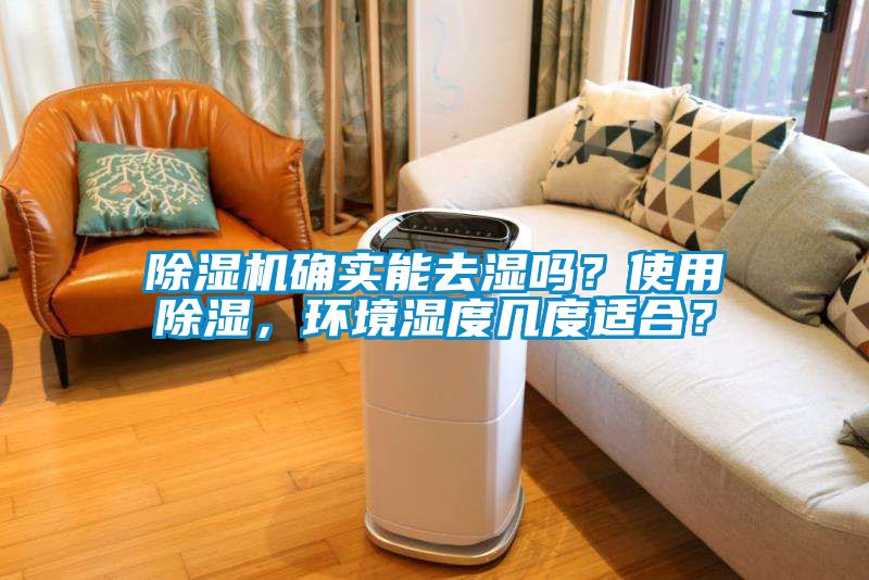 除濕機確實能去濕嗎？使用除濕，環境濕度幾度適合？