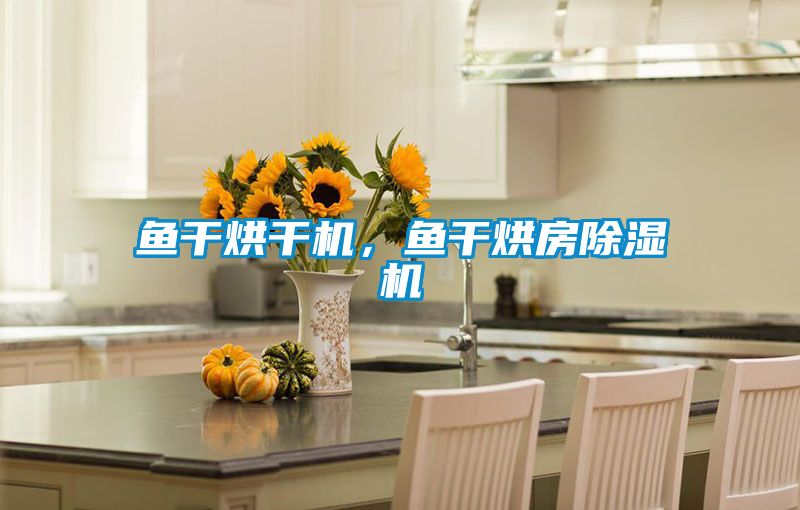 魚干烘干機，魚干烘房除濕機