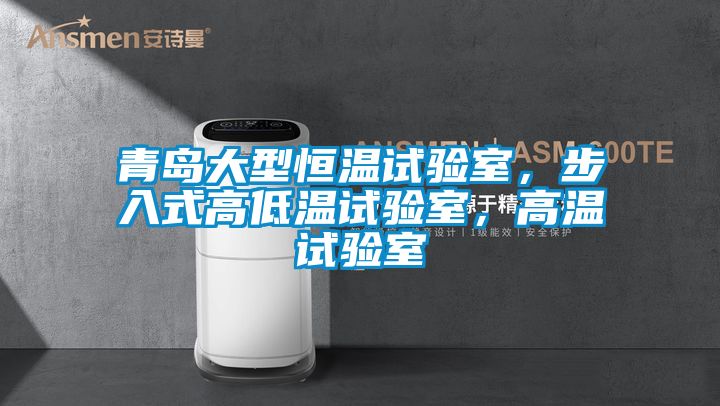 青島大型恒溫試驗室，步入式高低溫試驗室，高溫試驗室
