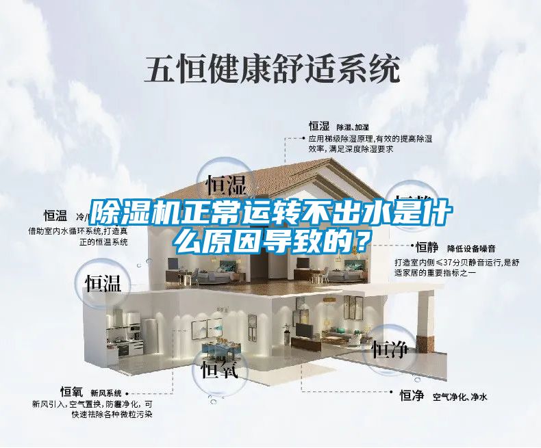 除濕機正常運轉不出水是什么原因導致的？