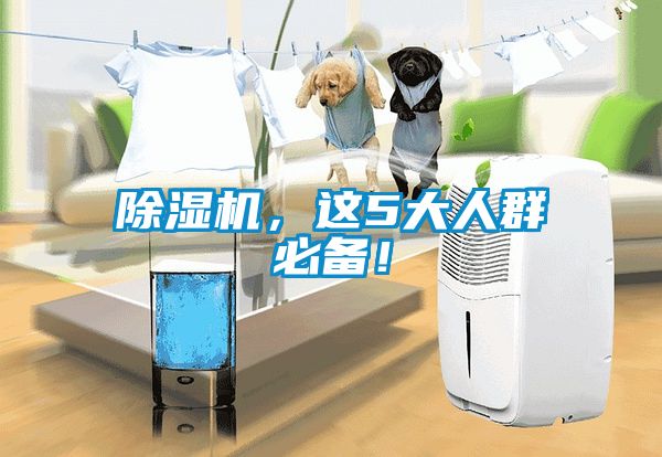 除濕機，這5大人群必備！