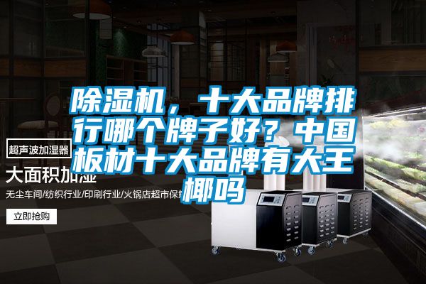除濕機，十大品牌排行哪個牌子好？中國板材十大品牌有大王椰嗎