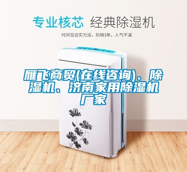 雁飛商貿(在線咨詢)、除濕機、濟南家用除濕機廠家