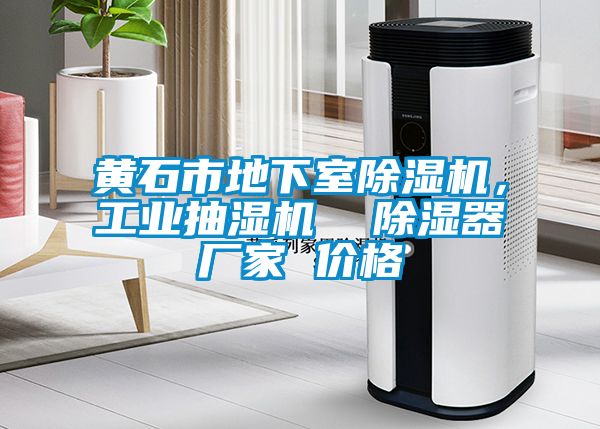 黃石市地下室除濕機，工業抽濕機  除濕器廠家 價格
