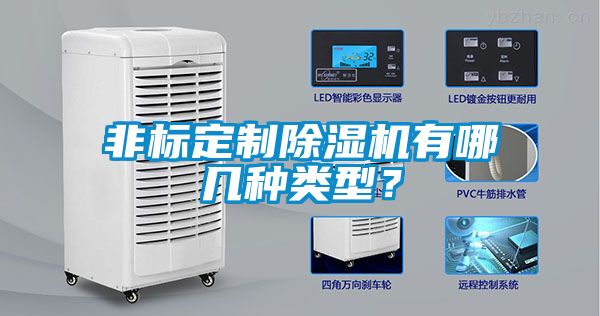 非標定制除濕機有哪幾種類型？
