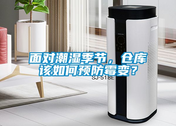 面對潮濕季節，倉庫該如何預防霉變？