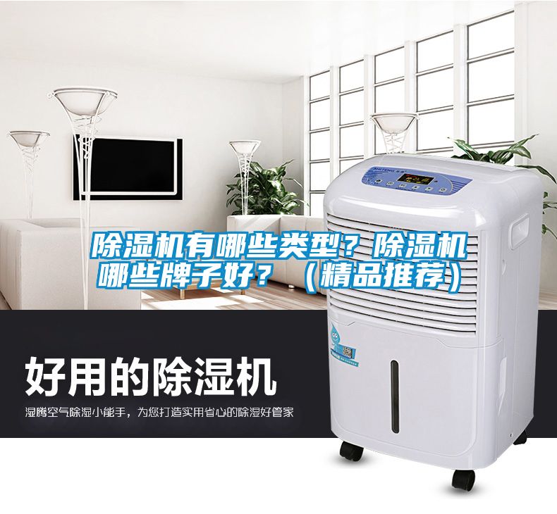 除濕機有哪些類型？除濕機哪些牌子好？（精品推薦）