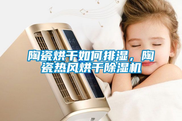 陶瓷烘干如何排濕，陶瓷熱風烘干除濕機