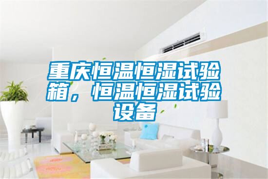 重慶恒溫恒濕試驗箱，恒溫恒濕試驗設備