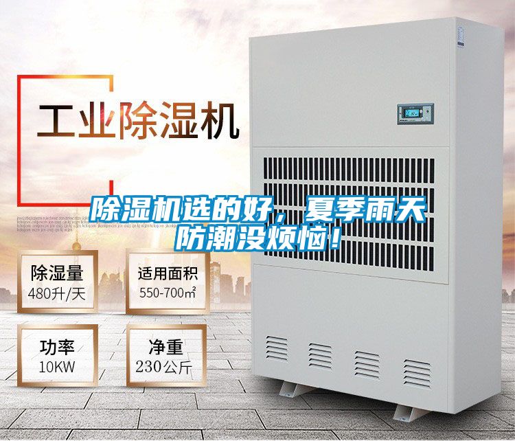 除濕機選的好，夏季雨天防潮沒煩惱！