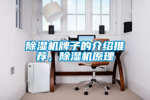 除濕機牌子的介紹推薦，除濕機原理