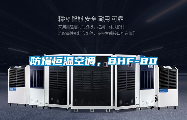 防爆恒濕空調，BHF-80