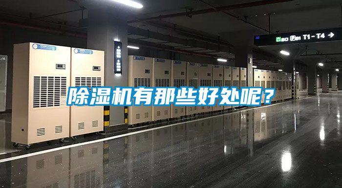 除濕機有那些好處呢？