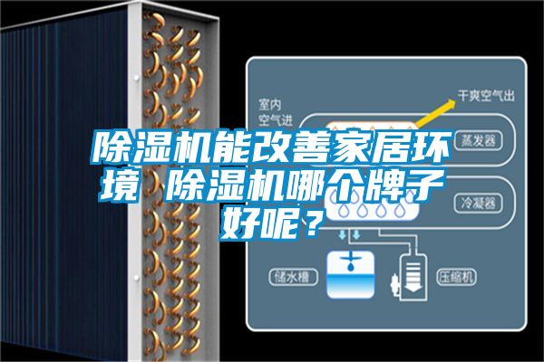除濕機能改善家居環境 除濕機哪個牌子好呢？