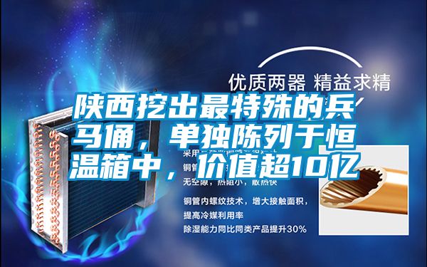 陜西挖出最特殊的兵馬俑，單獨陳列于恒溫箱中，價值超10億