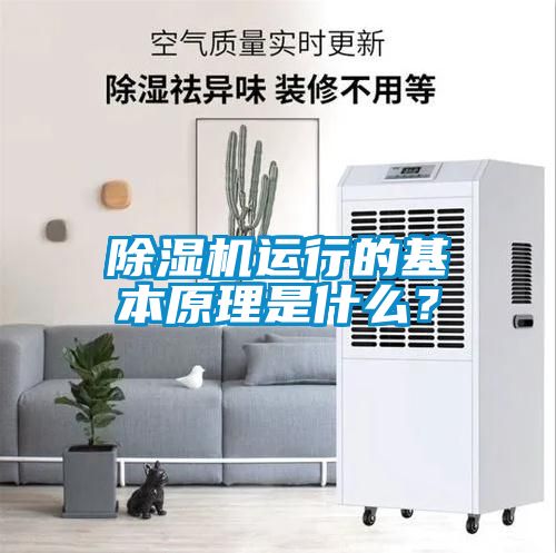 除濕機運行的基本原理是什么？