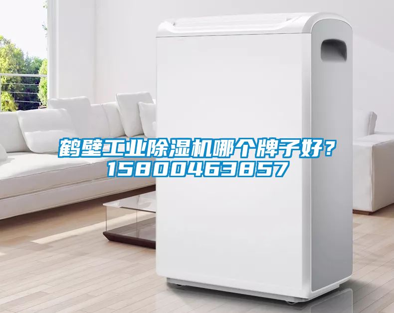 鶴壁工業除濕機哪個牌子好？15800463857