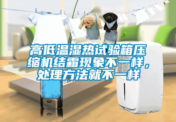 高低溫濕熱試驗箱壓縮機結霜現象不一樣，處理方法就不一樣