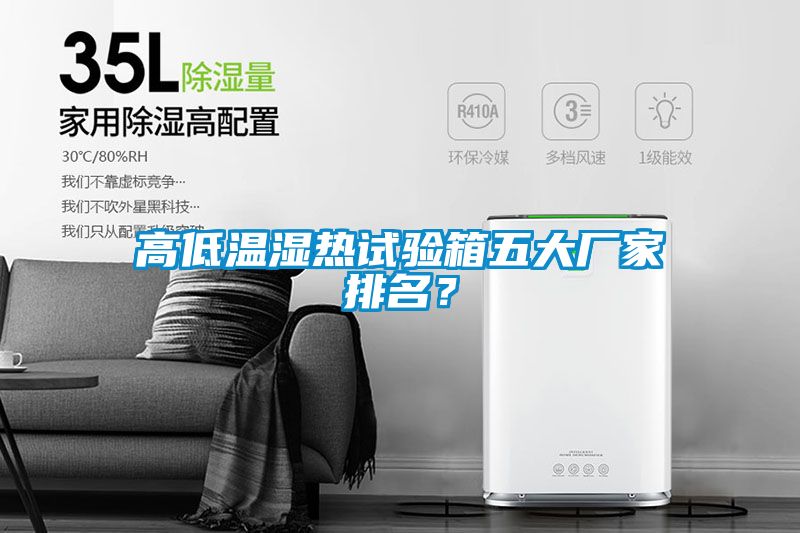 高低溫濕熱試驗箱五大廠家排名？