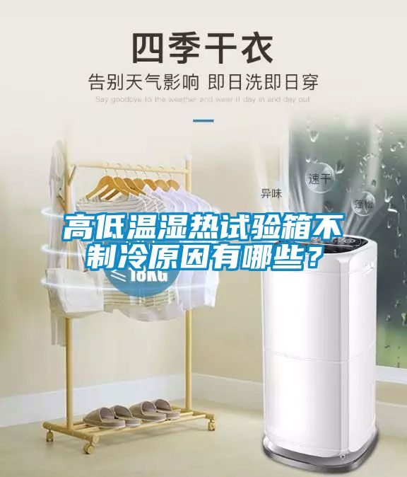 高低溫濕熱試驗箱不制冷原因有哪些？