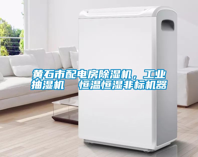 黃石市配電房除濕機，工業抽濕機  恒溫恒濕非標機器