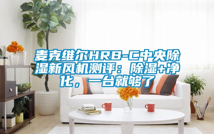 麥克維爾HRB-C中央除濕新風機測評：除濕+凈化，一臺就夠了