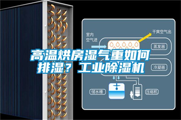 高溫烘房濕氣重如何排濕？工業除濕機