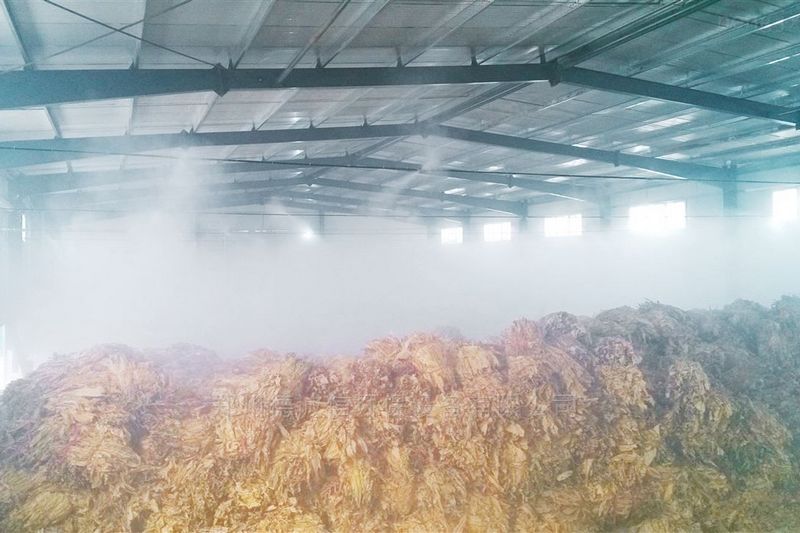 提升煙葉加工質量，高效回潮很重要 煙葉除濕機