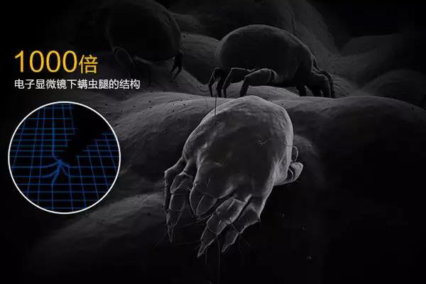螨蟲高發季，家用除濕機除螨有妙計！