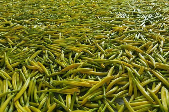 無硫金針菜烘干如何保持品相？不發黑？